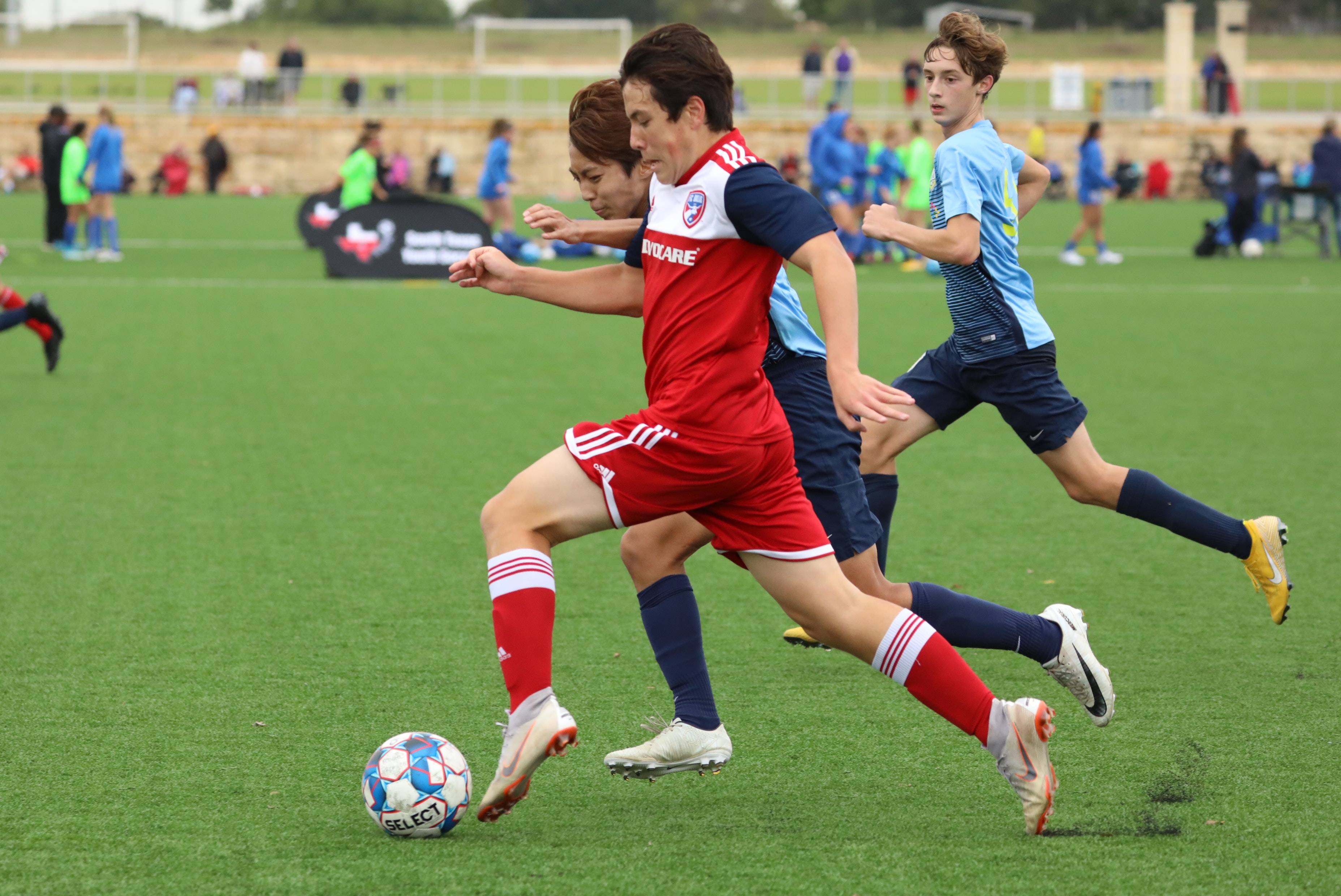 在训练中同 在训练中同