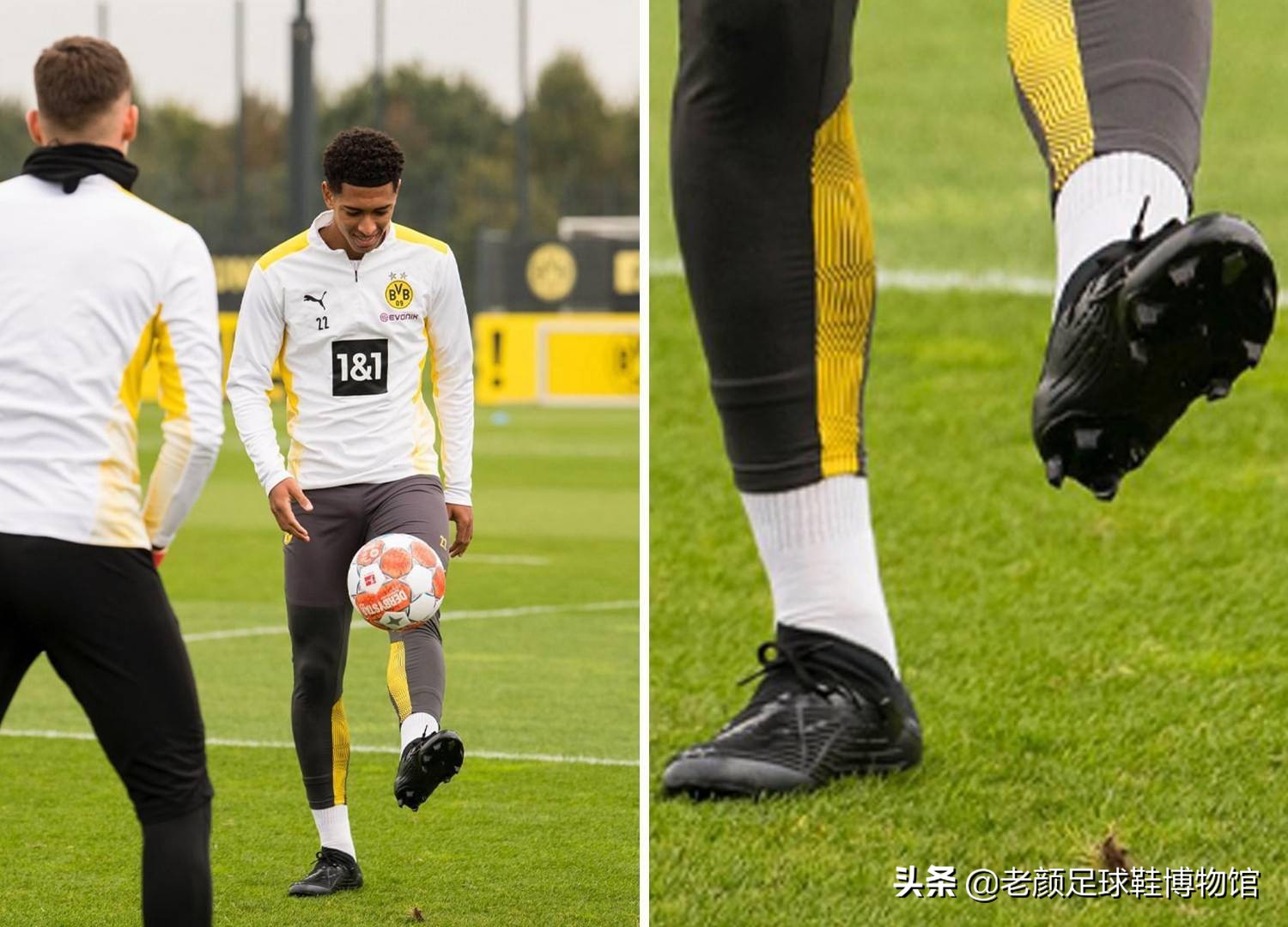 域情感与竞 域情感与竞